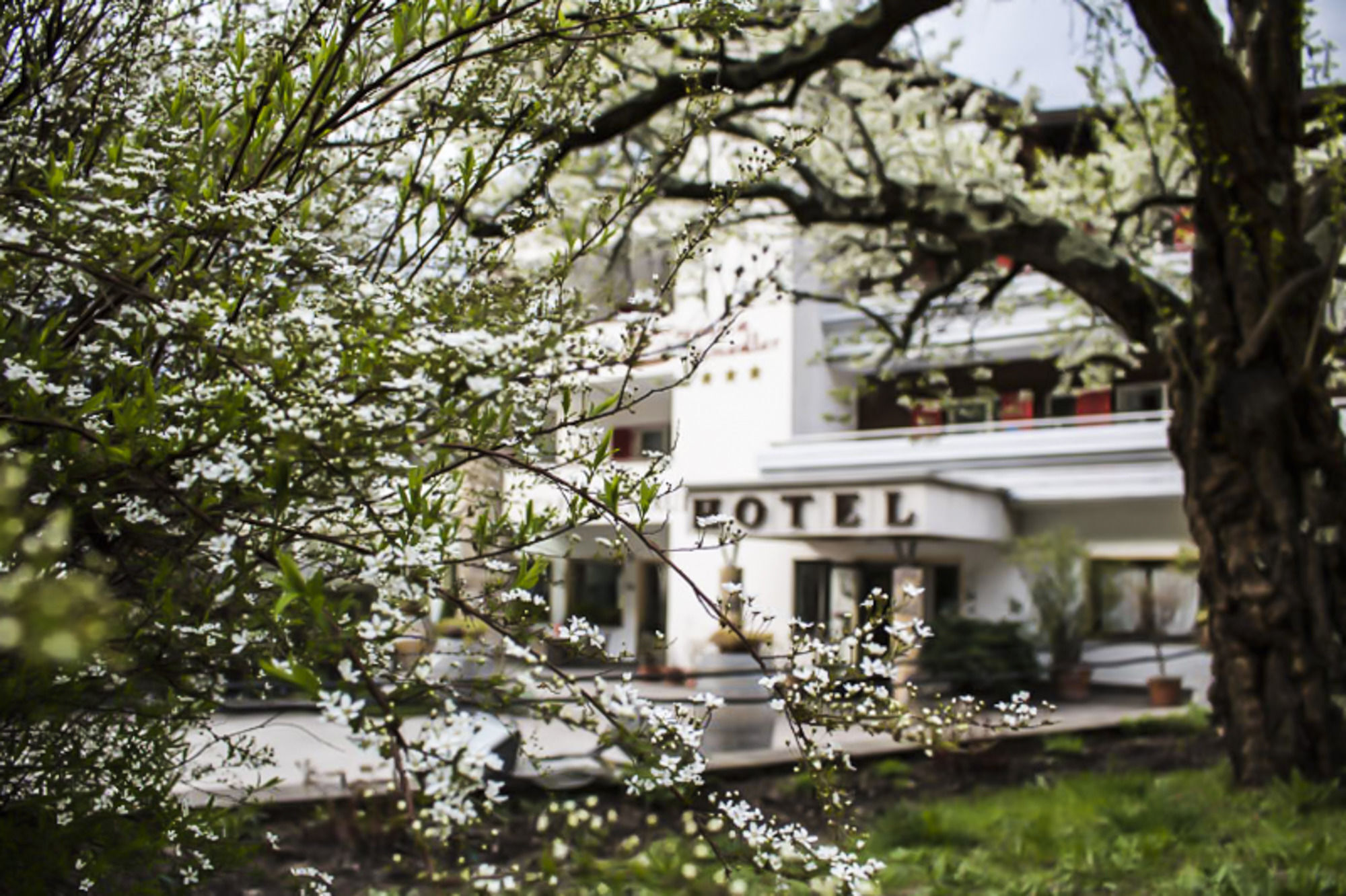 Prinz Rudolf Smart Hotel Merano Exterior foto